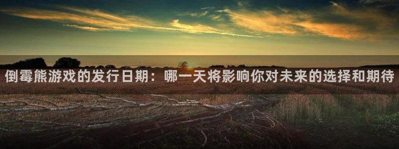 bbin视讯官网注册平台官网登录：倒霉熊游戏的发行日期：哪一天将影响你对未来的选择和期待