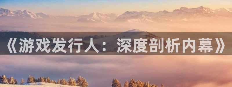 bbin视讯子书单：《游戏发行人：深度剖析内幕》