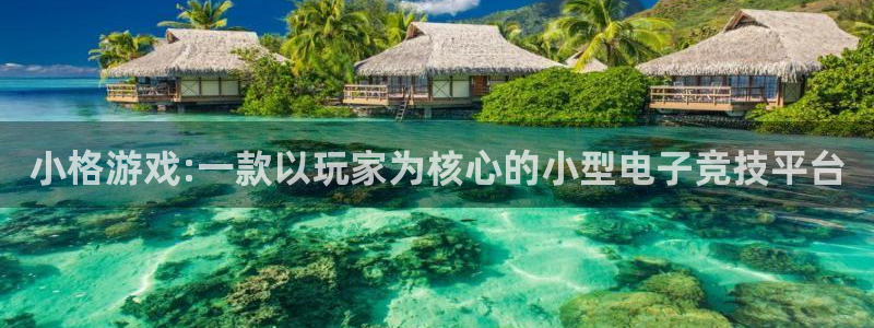 bbin视讯官网注册平台登录不了：小格游戏:一款以玩家为核心的小型电子竞技平台