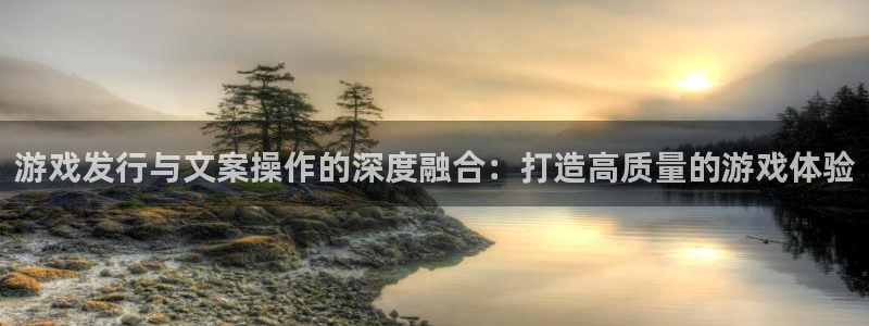 bbin视讯电子商务有限公司怎么样：游戏发行与文案操作的深度融合：打造高质量的游戏体验