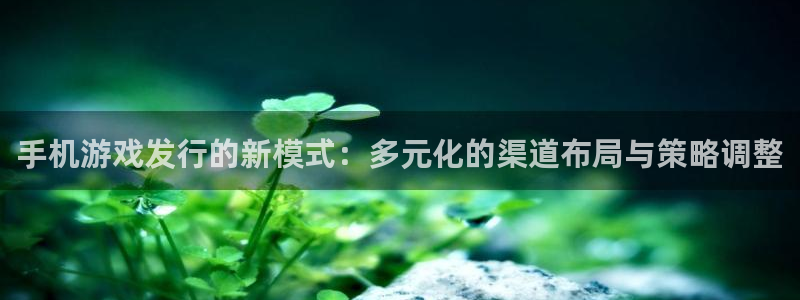 bbin视讯子公司怎么样可靠吗：手机游戏发行的新模式：多元化的渠道布局与策略调整