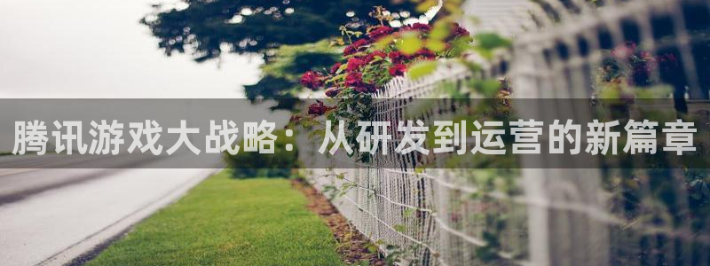 法国bbin视讯lvnces是奢侈品吗：腾讯游戏大战略：从研发到运营的新篇章