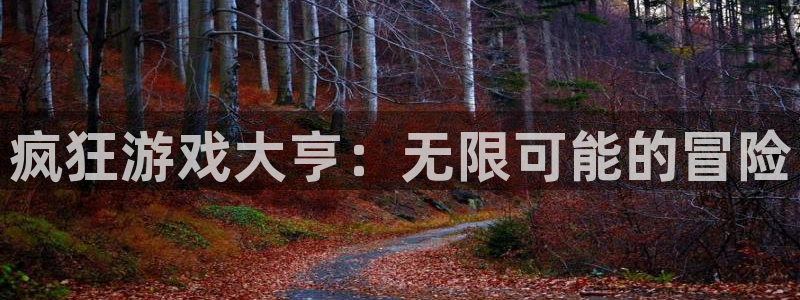 bbin视讯子怎么来的：疯狂游戏大亨：无限可能的冒险