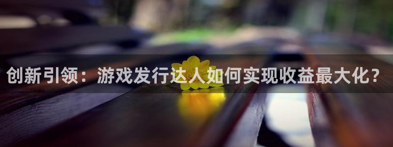 bbin视讯lvnces是什么档次：创新引领：游戏发行达人如何实现收益最大化？