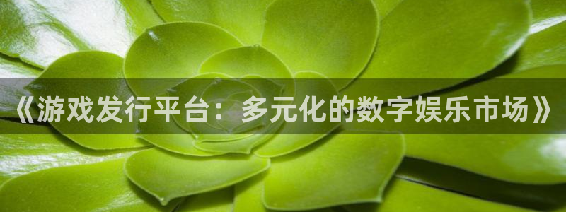 广州bbin视讯电子商务